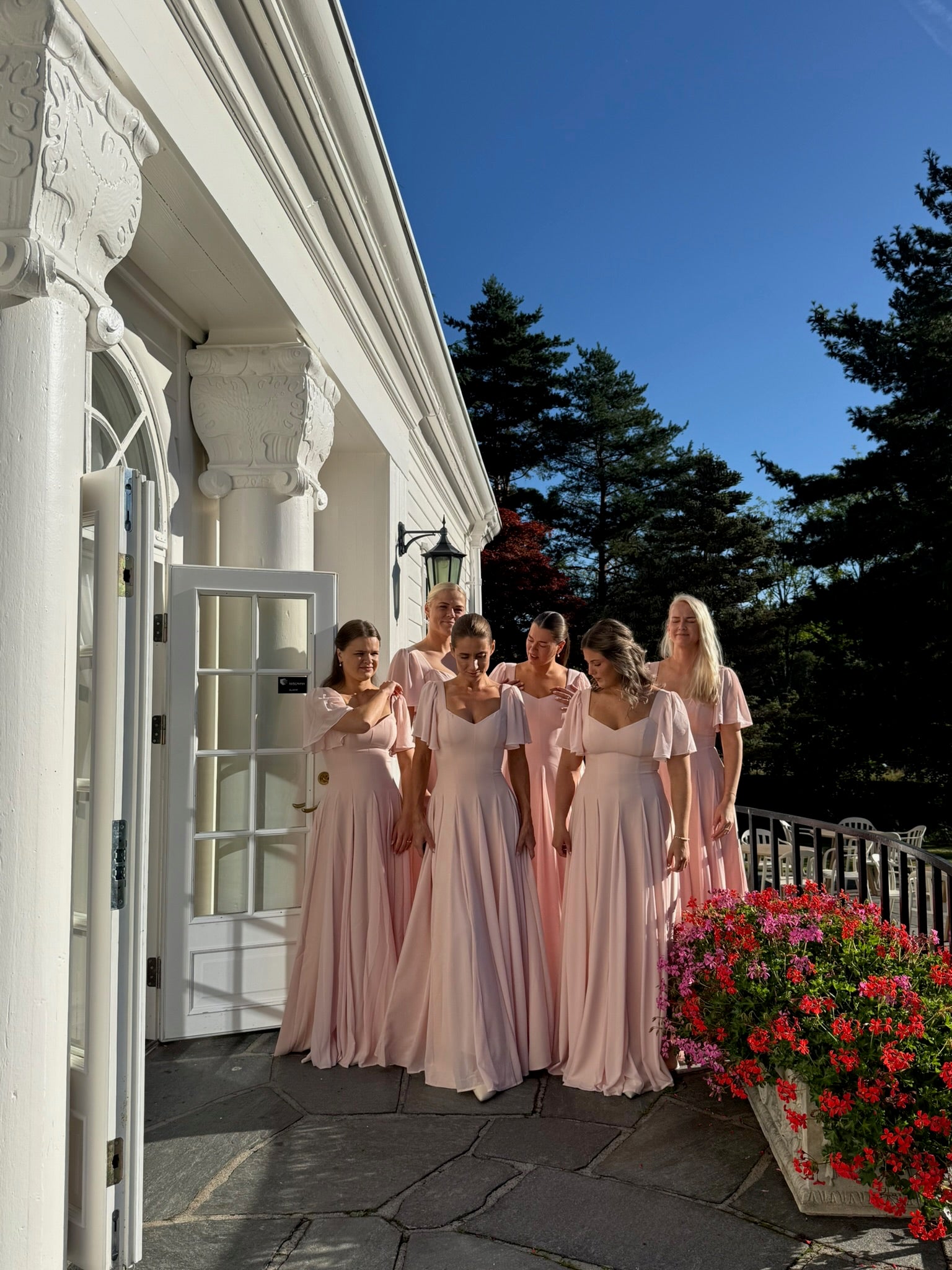 Alette Maxi Dress Flutter Sleeves Blush